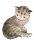 Marie Zábranská - ilustrace Marie Zábranská - ilustrace
