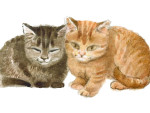 Marie Zábranská - ilustrace Marie Zábranská - ilustrace