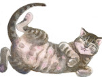 Marie Zábranská - ilustrace Marie Zábranská - ilustrace