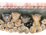 Marie Zábranská - ilustrace Marie Zábranská - ilustrace